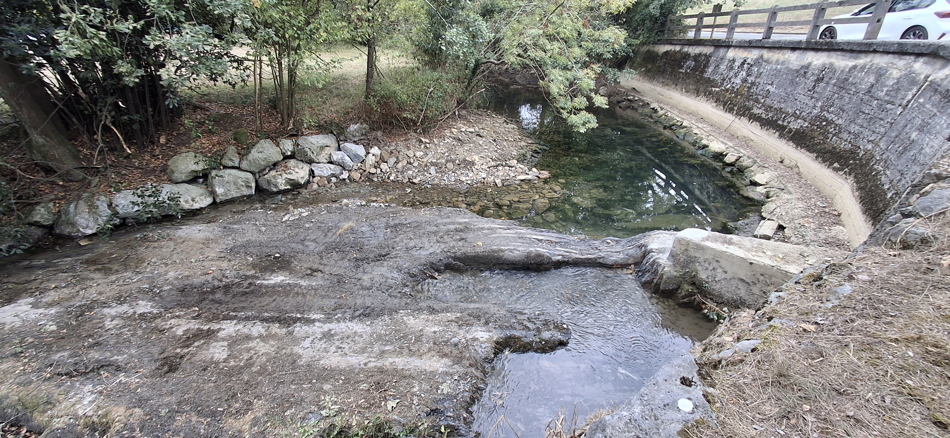 Presa de arriba