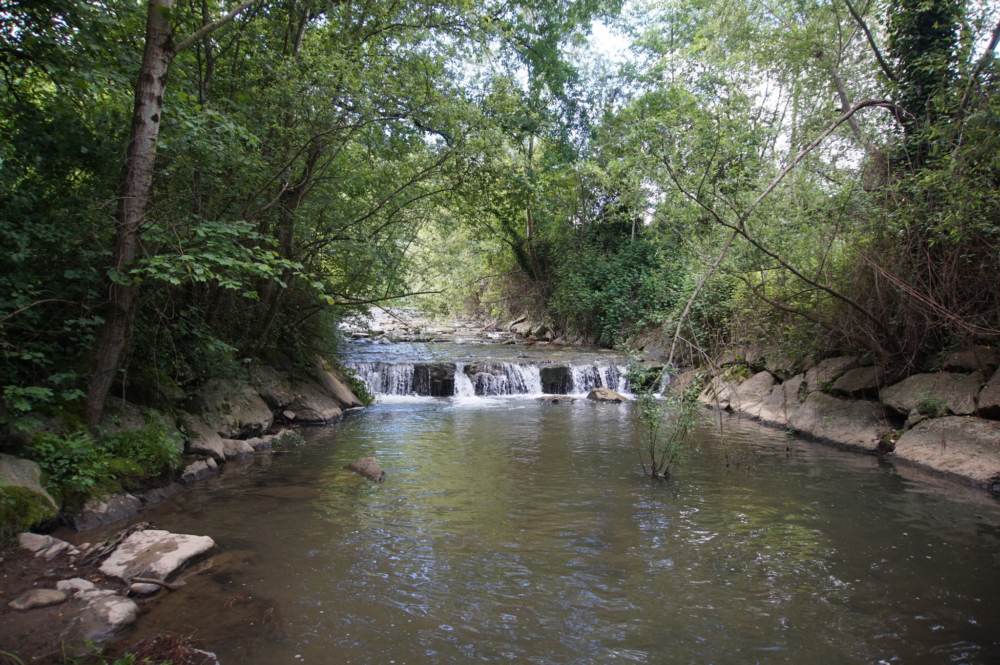 r�o Segura